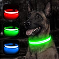 LED Light-Up Dog Collar – USB Rechargeable, 3 Night Modes