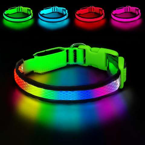 LED Light-Up Dog Collar – USB Rechargeable, 3 Night Modes