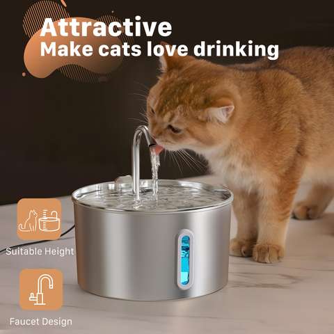 Pet Water Fountain 2.2L (stainless-top, quiet pump, USB)