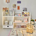 Double-Layer Desktop Organizer Rack, Stationery & Cosmetics Storage Shelf