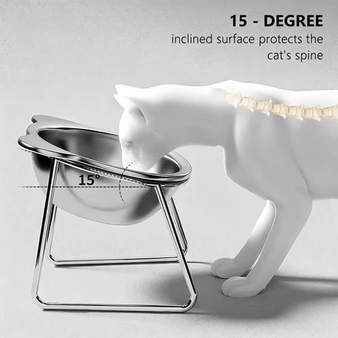 Elevated Tilted Cat Bowl, 15-Degree 304 Stainless Steel Pet Dish