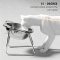 Elevated Tilted Cat Bowl, 15-Degree 304 Stainless Steel Pet Dish