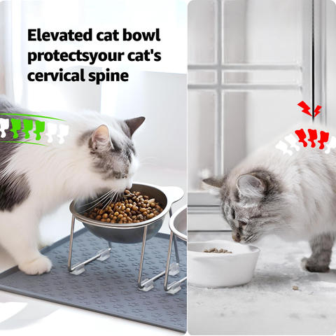 Elevated Tilted Cat Bowl, 15-Degree 304 Stainless Steel Pet Dish